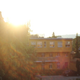 Image for article titled Shooting Challenge: Lens Flare Gallery Part Two